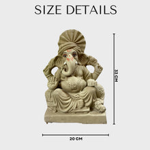 Load image into Gallery viewer, Eco Friendly Ganpati 2
